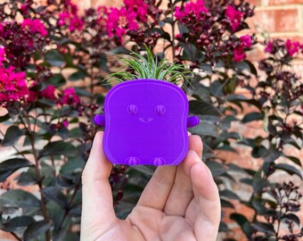 3D Printed Toast Succulent Planter – Funny PLA Home Decor