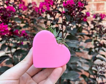 Personalized Heart Succulent Planter | Home Decor | Modern Planter | 3D Printed with Drainage | Indoor Planter