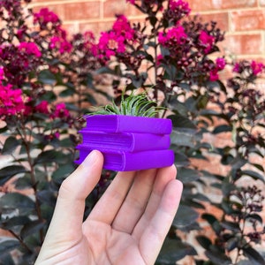 May include: A stack of three purple miniature books with a small green plant growing out of the top book. The books are being held in a person's hand.