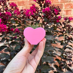 May include: A pink heart-shaped planter holding a small air plant. The planter is held in front of a background of dark green foliage and a brick wall. The planter is made of a solid, smooth material.