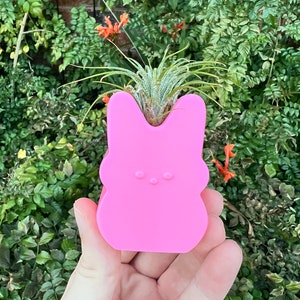 May include: A pink bunny-shaped planter with a small air plant growing inside. The planter is made of a smooth, plastic material and has a simple, cartoon-like design.