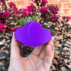 Customizable 3D Printed Heart Succulent Planter: Modern Indoor Decor with Drainage