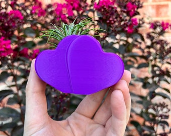 Personalized Heart Succulent Planter | Home Decor | Modern Planter | 3D Printed with Drainage | Indoor Planter