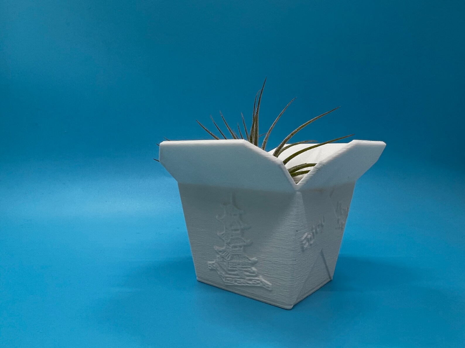 Chinese Takeout Box Succulent Planter Home Decor Modern Etsy