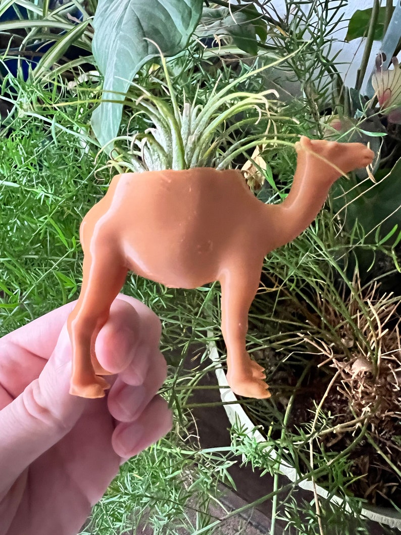 May include: A terracotta camel planter with a small air plant growing inside. The camel is standing on a green surface.