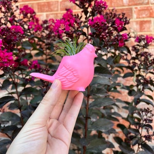 May include: A pink bird-shaped planter with a small air plant inside. The planter is being held in a hand against a background of pink flowers and brick.