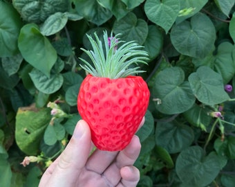 3D Printed Strawberry Planter: Cute Indoor Air Plant Holder with Drainage for Succulents & Desk Decor