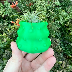 May include: A bright green, textured ceramic planter with a small air plant growing inside. The planter has a unique, bumpy design.