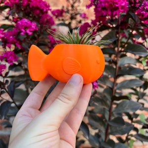 May include: Orange fish-shaped planter with a small air plant growing inside. The planter is being held in a hand against a background of purple flowers.