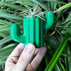 May include: A green ceramic cactus planter with a small air plant growing inside. The planter has a ribbed texture and a rounded shape.