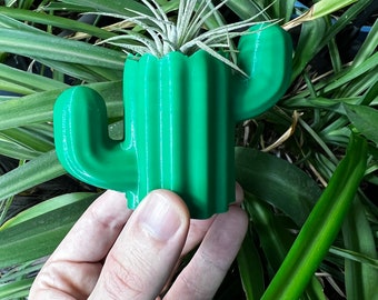 May include: A green ceramic cactus planter with a small air plant growing inside. The planter has a ribbed texture and a rounded shape.