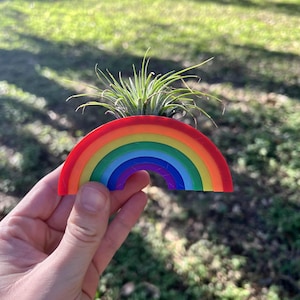Rainbow 3D Printed Succulent & Air Plant Planter - Modern Indoor Home Decor with Drainage