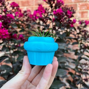 May include: A small blue cupcake-shaped planter with a green air plant growing inside. The planter has a white frosting design and is held in a hand against a blurry background of pink flowers.