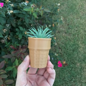 May include: A small succulent plant growing in a brown, waffle-patterned ice cream cone planter.