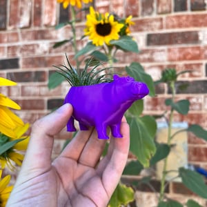 May include: A purple 3D printed hippopotamus planter with a small air plant growing inside. The planter is being held in a person's hand.