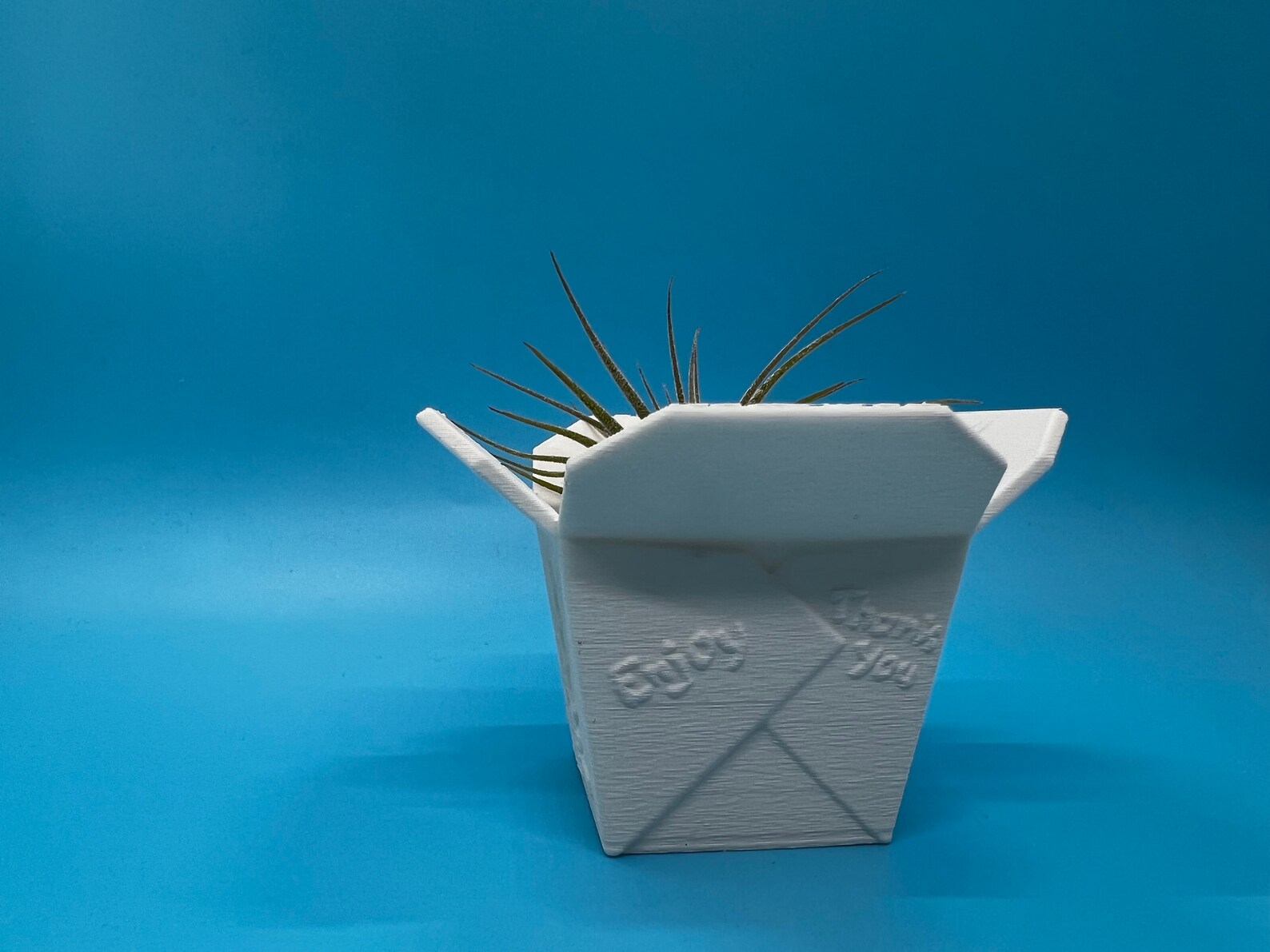 Chinese Takeout Box Succulent Planter Home Decor Modern Etsy