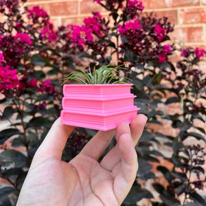 May include: A pink stack of three miniature books with a small air plant growing in the top book. The books are held in a hand against a background of pink flowers.