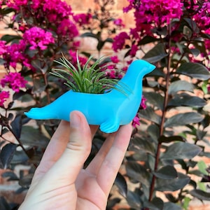 3D Printed Seal Succulent Planter: Modern Indoor Home Decor with Drainage for Cacti & Air Plants