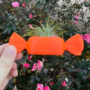 Colorful 3D Printed Succulent Planter: Modern Indoor Decor with Drainage for Cacti & Air Plants