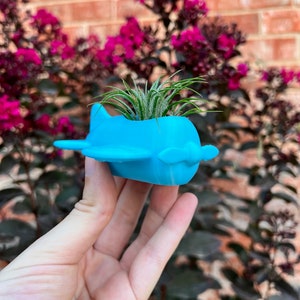 3D Printed Airplane Air Plant Holder: Indoor Succulent Planter with Drainage for Home Decor