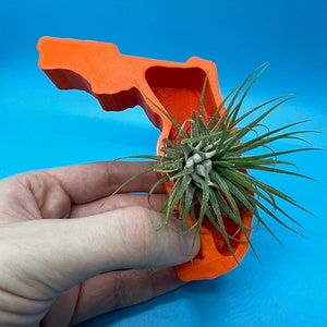 May include: An orange 3D printed planter shaped like the state of Florida, with a small air plant growing inside.