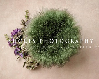 Newborn, Newborn Digital Backdrop, Digital Newborn Backdrop, Vintage,  Newborn Background, Newborn Backdrop, green, ivory, composite