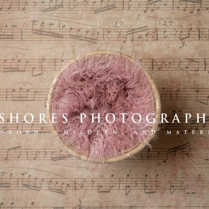Newborn Music, Newborn Digital Backdrop, Digital Newborn Backdrop, Music background,  Newborn Background, Newborn Backdrop, Boho Newborn,