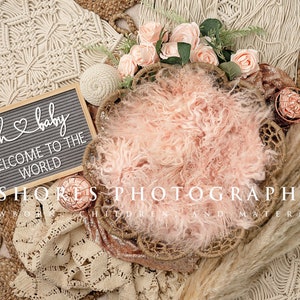 Newborn boho, Newborn Digital Backdrop, Digital Newborn Backdrop, Boho,  Newborn Background, Newborn Backdrop, Boho Newborn Background