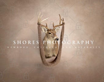 Newborn Digital Backdrop, Digital Newborn Backdrop, Newborn Background, Newborn Backdrop, Deer Newborn Background, Deer, Mounted Deer