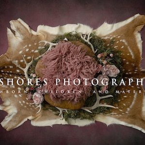 May include: A pink and brown newborn photography prop set with a faux fur rug, antlers, and greenery. The text "SHORES PHOTOGRAPHY NEWBORN CHILDREN AND MATERNITY" is visible.