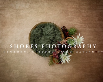 Op de afbeelding: Een houten kom gevuld met een groen, pluche materiaal, omringd door verschillende vetplanten en cactussen. De tekst "SHORES PHOTOGRAPHY NEWBORN, CHILDREN AND MATERNITY" staat onder de kom.
