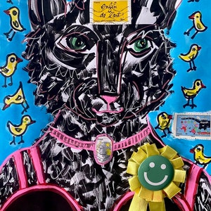 The weird cat