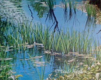 May Pool, Fine Art Print from original painting. Limited Edition, signed Giclée print