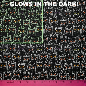 HALLOWEEN CAT FABRIC | Glows in the Dark! | Sold By The Half Yard! Continuous Cut! | 100% Quilting Cotton  Kitten Blender Orange White Black