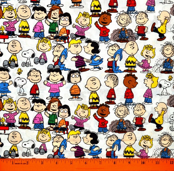 タペストリー PEANUTS CHARACTORS HANGING STORAGE 71INVd9SZRL._AC_SY200_QL15_.jpg