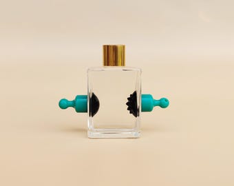 Anfänger, Anfänger, Rookie, Verwendung von Ferroöl nimi Display Flasche Audio Visualizer Kits