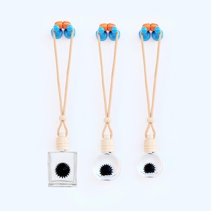 ferrofluid in a bottle display charm, magnetic toys.