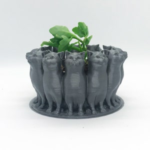 3D Printed Cat Planter - Unique Polycat Planter for Indoor Plants - Succulent Planter for Cat Lovers - Cute Cat Planter Pot - Animal Planter