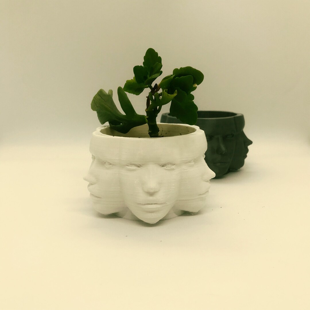 3D Printed Polyface Planter Human Face Plant Pot Multi Etsy