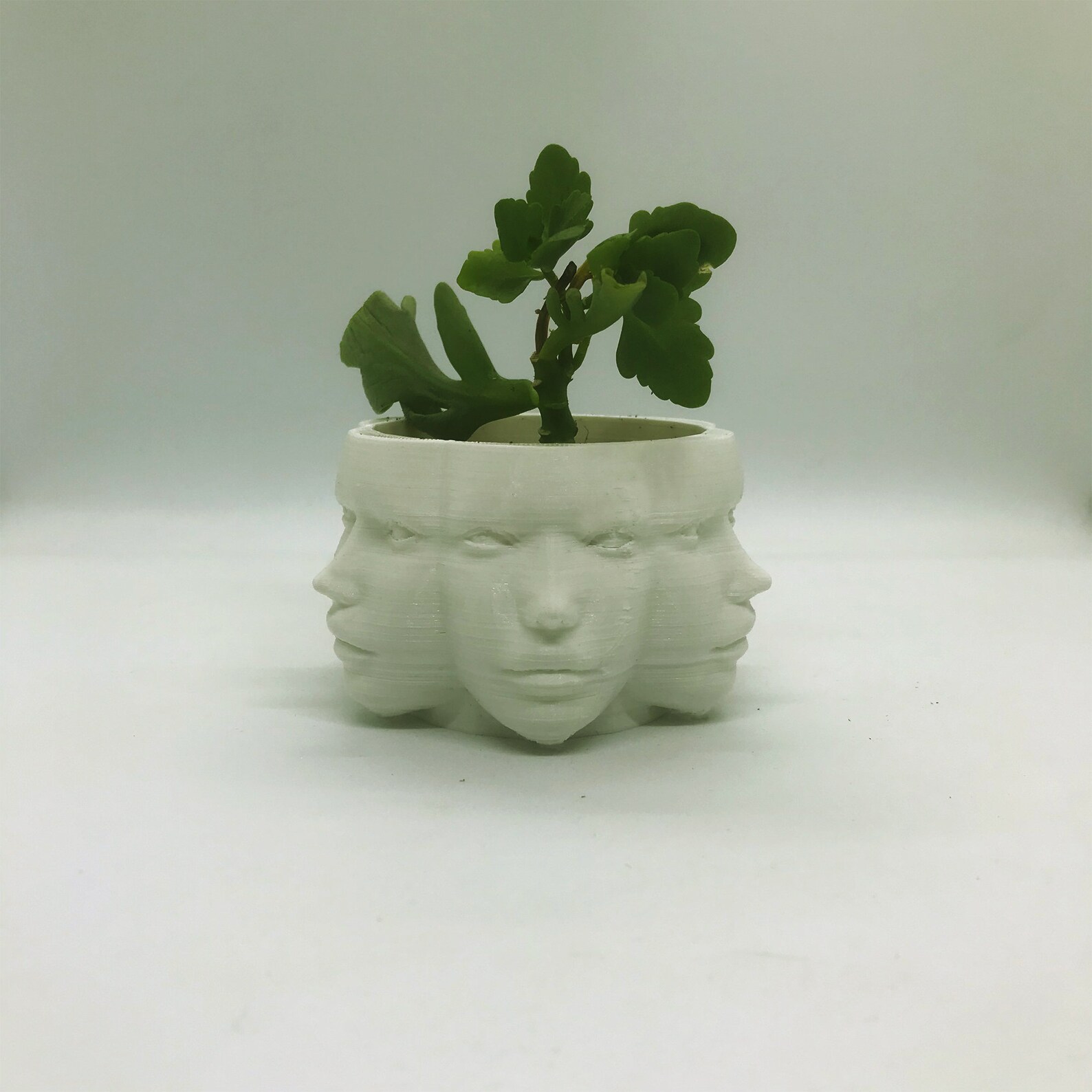 3D Printed Polyface Planter Human Face Plant Pot Multi Etsy