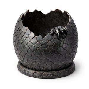 Hatching Dragon Egg Planter und Stiftehalter | Gebrochene Schale Schreibtisch Organizer (STL Datei)