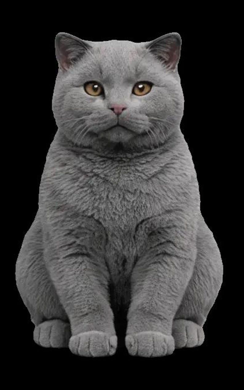 British Shorthair Cat 3D Print Model – Realistic Sitting Figurine (STL ...