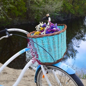 mint green vintage bike with basket