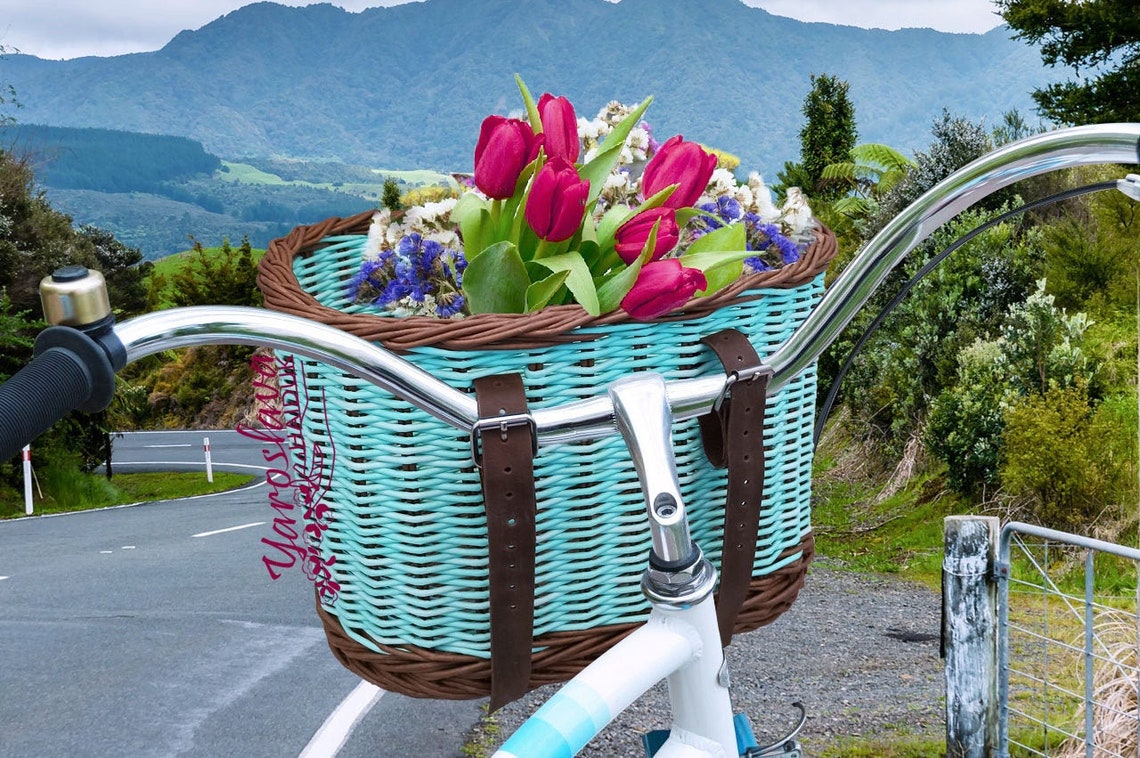 Mint Bike Basket Cycle Basket for Walking Bike With Basket Mint