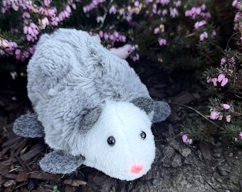 Könnte beinhalten: Ein graues und weißes Plüsch-Opossum-Spielzeug mit schwarzen Augen und einer rosa Nase. Das Spielzeug sitzt auf einem Bett aus braunen Holzspänen.