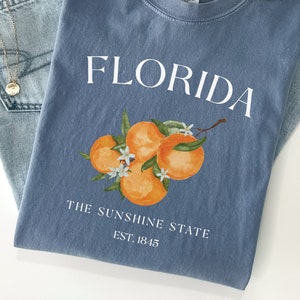 Cute Florida Oranges Tee Shirt, Sunshine State Tshirt, Comfort Colors Gift