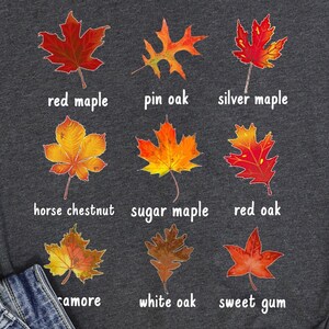 Shirt met herfstbladeren, gezellig herfstshirt met esthetiek, outfit met pompoenpatch Dark Grey Heather
