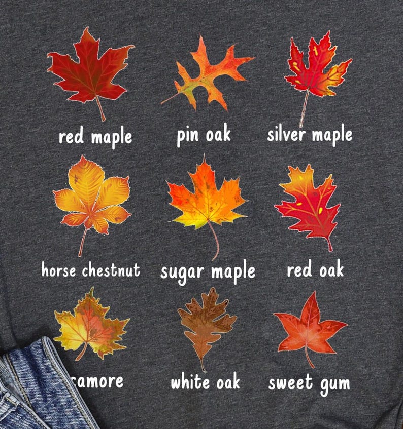 Shirt met herfstbladeren, gezellig herfstshirt met esthetiek, outfit met pompoenpatch Dark Grey Heather