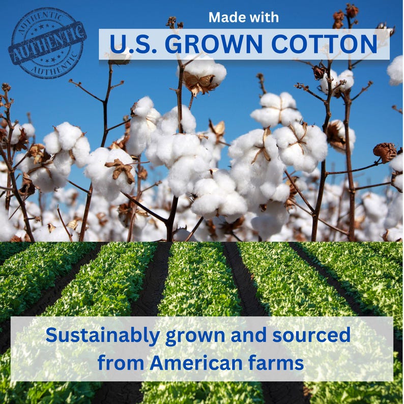 Puede incluir: Un campo de capullos de algod&oacute;n blanco sobre tallos marrones contra un cielo azul con un sello circular AUTHENTIC y texto Made with U.S. GROWN COTTON y Sustainably grown and sourced from American farms sobre hileras de cultivos verdes.