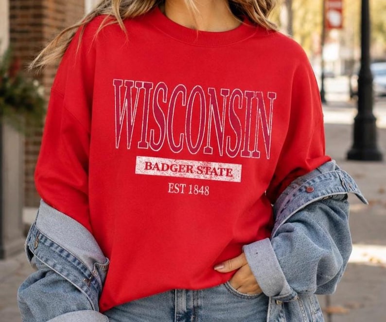 Wisconsin Crewneck Sweatshirt, Badger State Gift, University Style Pullover image 1